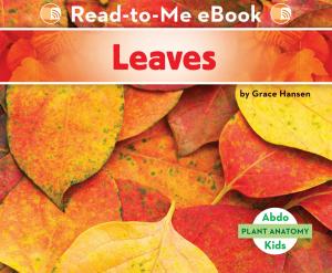 Cover of the book Leaves by Lisa Mullarkey; John Mullarkey