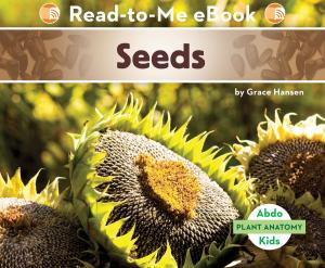 Cover of the book Seeds by Clancy Teitelbaum