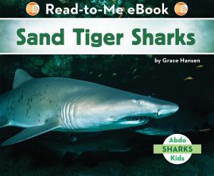 Cover of the book Sand Tiger Sharks by Lisa Mullarkey