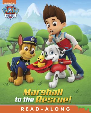 Cover of the book Marshall to the Rescue (PAW Patrol) by Nickelodeon Publishing