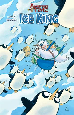 Cover of Adventure Time: Ice King #1