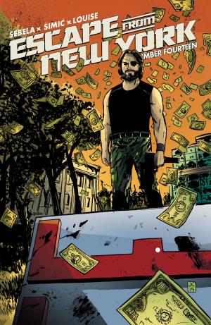 Book cover of Escape from New York #14