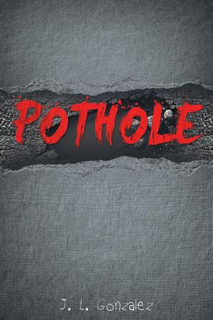 Cover of the book Pothole by Manna Mitchell Griffin