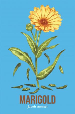 Cover of the book Marigold by Vincent James