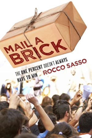 Cover of the book Mail a Brick by Erica Negi