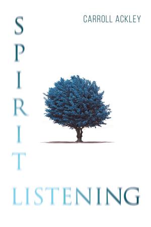 Cover of the book Spirit Listening by Jamil Nassar