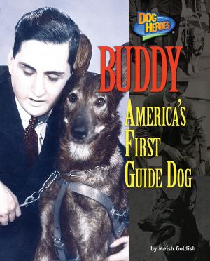 Cover of the book Buddy by Kevin Blake