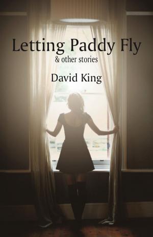 bigCover of the book Letting Paddy Fly by 