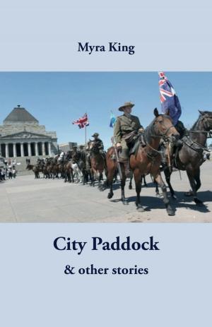 bigCover of the book City Paddock by 