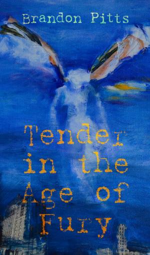 Cover of the book Tender in the Age of Fury by Jasmine D'Costa