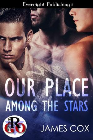 Cover of the book Our Place Among the Stars by Daisy Philips