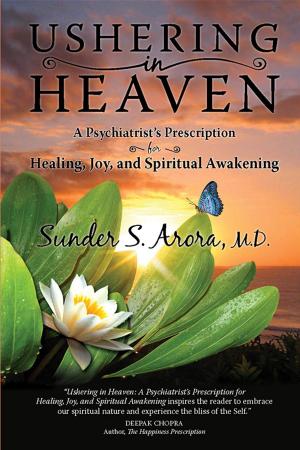 Cover of the book Ushering in Heaven by Ian McKercher