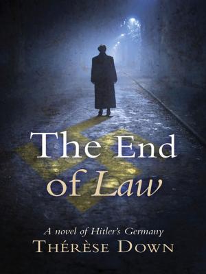 Cover of the book The End of Law by Colin Chapman, Kate Benson