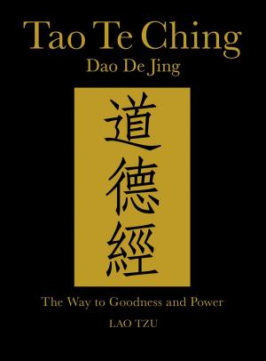 Cover of the book Tao Te Ching (Daodejing) by Kieron Connolly