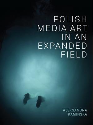 Book cover of Polish Media Art in an Expanded Field