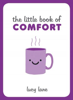 Cover of the book The Little Book of Comfort by Mark Solomon