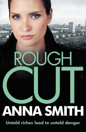 Cover of the book Rough Cut by Élmer Mendoza