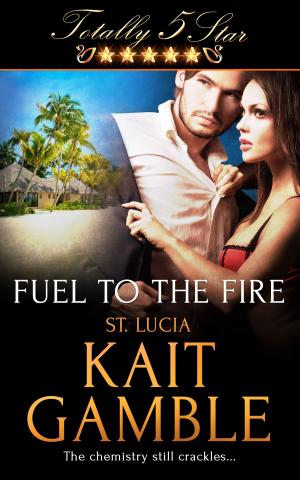 Book cover of Fuel to the Fire