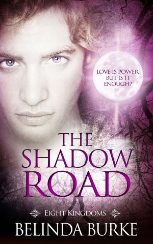 Cover of the book The Shadow Road by Faith Ashlin