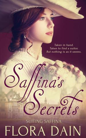 Cover of the book Saffina's Secrets by Elizabeth Evil