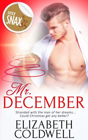 Cover of the book Mr. December by Lizzie Lynn Lee