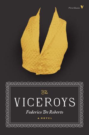 Cover of the book The Viceroys by Andy Merrifield