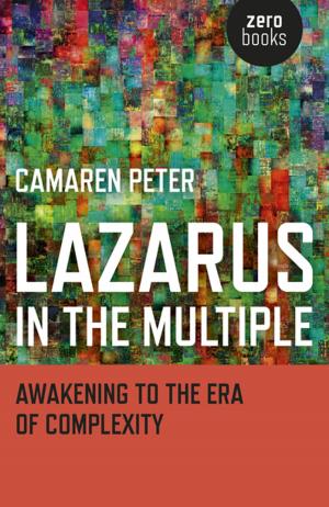 Cover of the book Lazarus in the Multiple by Carol Ohmart Behan