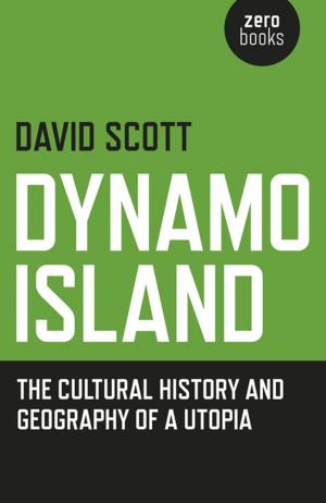 Cover of the book Dynamo Island by Elaine A. Hodge