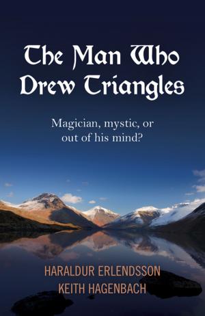Cover of the book The Man Who Drew Triangles by Joe Milutis