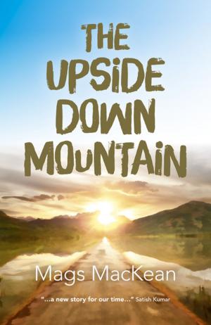 Cover of the book The Upside Down Mountain by Siusaidh Ceanadach