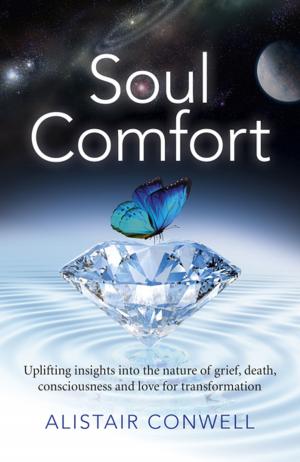 Book cover of Soul Comfort
