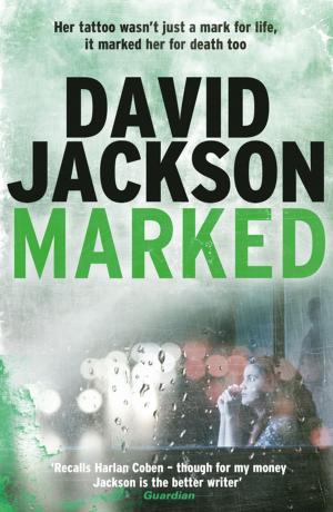 Cover of the book Marked by CJ Carver