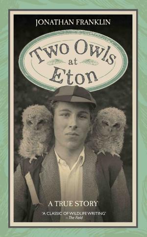 Cover of the book Two Owls at Eton by James Haydock