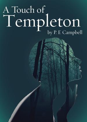 Cover of the book A Touch of Templeton by N.W. Moors