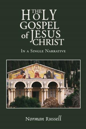 Cover of the book The Holy Gospel of Jesus Christ - In a Single Narrative by Jane Shagouri