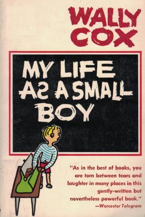 Cover of the book My Life As A Small Boy by General Edward Porter Alexander