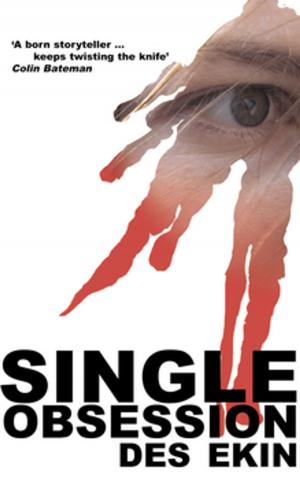 Book cover of Single Obsession
