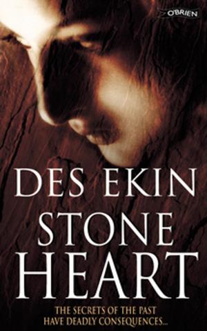 Cover of the book Stone Heart by Conor Kostick
