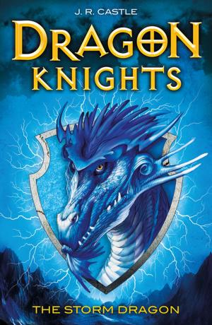 Book cover of The Storm Dragon