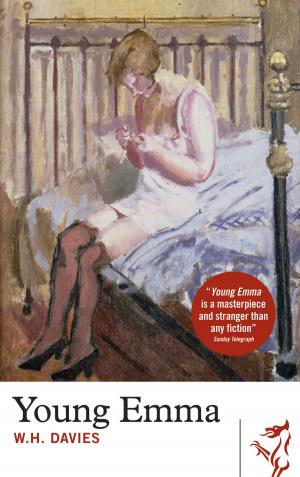 Cover of the book Young Emma by Dai Smith