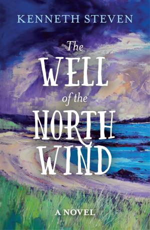 Cover of the book The Well of the North Wind by Paula Gooder