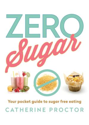Cover of the book Zero Sugar by Kailee Clinton