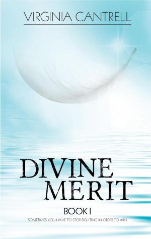 Cover of the book Divine Merit by Randi Perrin