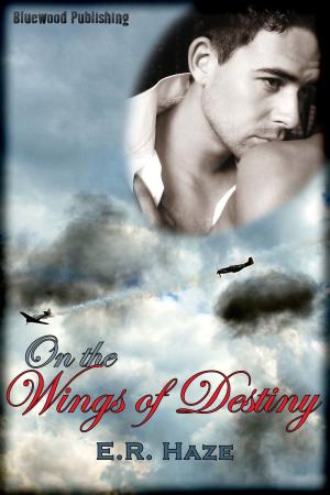 Cover of the book On the Wings of Destiny by E.R. Haze