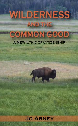 Cover of Wilderness and the Common Good