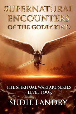 Cover of Supernatural Encounters of the Godly Kind: The Spiritual Warfare Series – Level Four