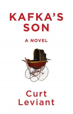 Cover of Kafka's Son