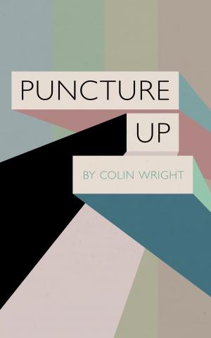 Cover of the book Puncture Up by Asymmetrical Press, Colin Wright, Joshua Fields Millburn