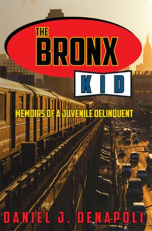Cover of the book The Bronx Kid by B.R. Keegstra