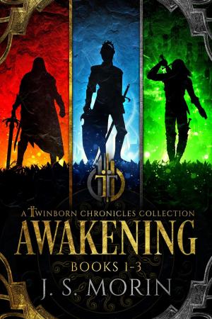 bigCover of the book Twinborn Chronicles: Awakening Collection by 